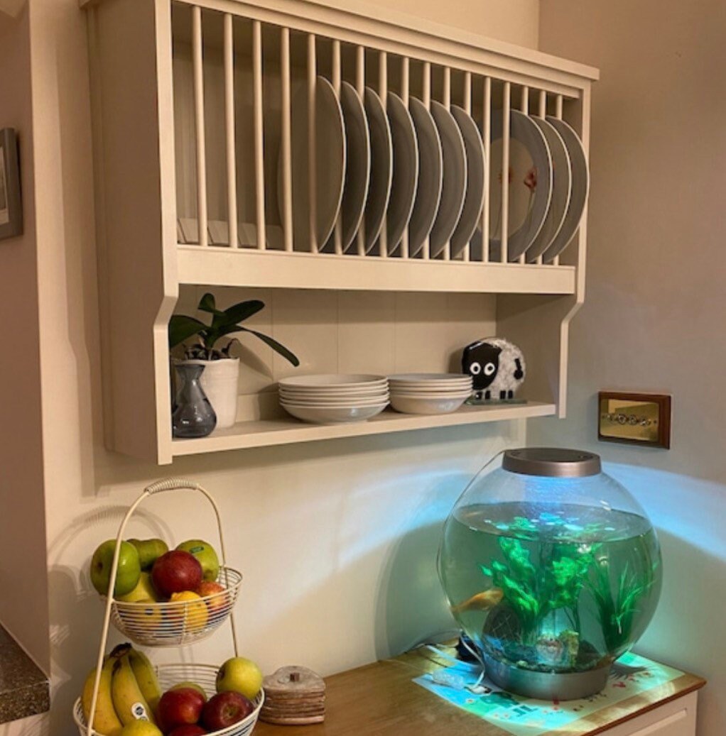 The Alfred handmade plate rack storage available in your chosen f&b colour